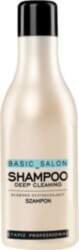 Stapiz Professional Deep Cleasing Shampoo 1000