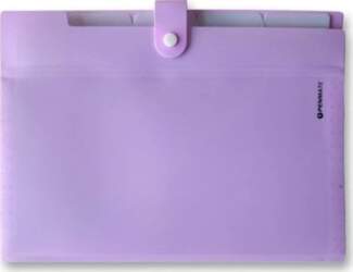 Tadeo Trading Folder with 5 compartments