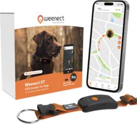 Weenect Dog XT Orange Collar -