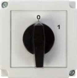 Apator Cam coupling switch 0-1 1P