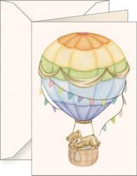 B6 pass + envelope 6137 Teddy