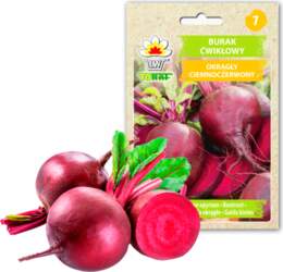 Dark Red Beetroot Toraf Vegetable Seeds