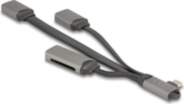 DELOCK 2 Port USB Hub inklusive