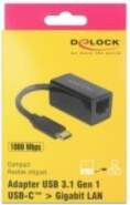 DeLock - Network adapter - USB