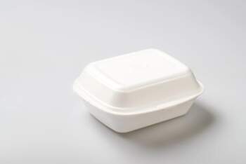 Disposable hamburger box  XPS  14 x