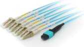 EQUIP MTP/LC Trunk Fiber Patch Cord