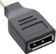 INLINE - DisplayPort-Adapter - Mini DisplayPort