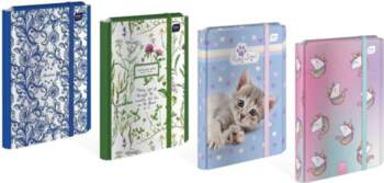 Interdruk Folder with elastic band A4