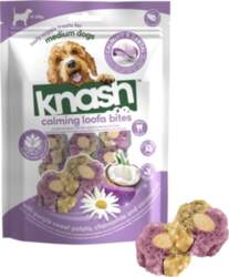 Knash - WL Bites - Pumpkin/Ginger