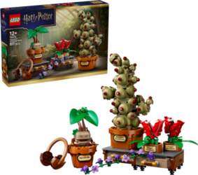 LEGO - Harry Potter TM -