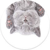 PopSockets Cat Nap Passive holder E-book