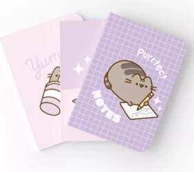 Pusheen - Set of A5 notebooks