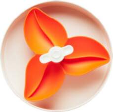 SPIN - Starter kit - Interactive