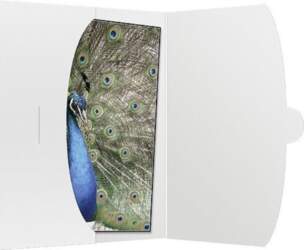 1x50 Daiber Cover 15x20 white 09021