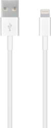 Apple Iphone Lightning Connectivity Cable MD818