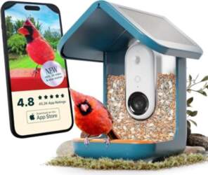 BirdBuddy - Smart Bird Feeder 2