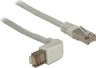 DeLOCK 2m Cat.5e SFTP networking
