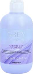 Inebrya Grey By Day Hair Shampoo