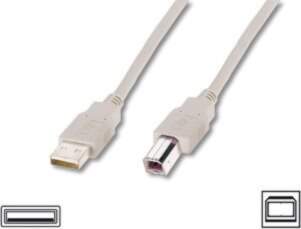 Kabel USB Digitus USB A/USB B