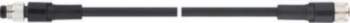 LAPP Connection cable 2m M8 plug-M8