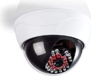Nedis DUMCD20WT dummy security camera White
