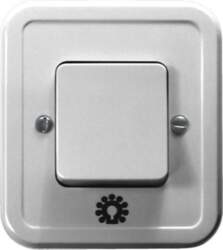 Ospel PI light switch single make