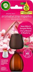 Reckitt Benckiser AIR WICK AROMATIC MIST