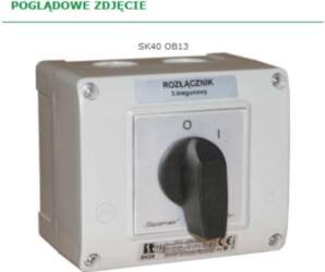 Spamel Cam switch 40A 3-pole in