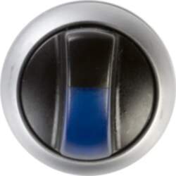 Switch drive 2 light blue with