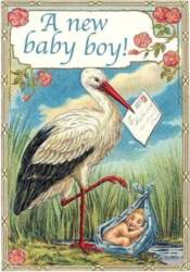 B6 pass with envelope Birth of