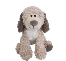 Beppe Dog with a white belly