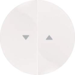 Berker R.1/R.3 Double key