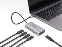 Delock - Hub - 10 Gbps