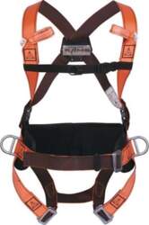 Delta Plus Harness with belt 4