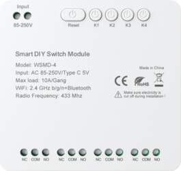 DIY Avatto WSMD-4 250V smart switch
