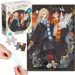 Dodo Puzzle Picture Arranging Set Harry