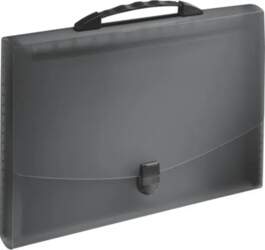 Esselte Briefcase with compartments and bundle