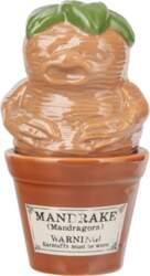 Harry Potter - Mandrake and Plant