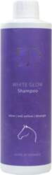 Laudrup  Dufour - White Glow Shampoo