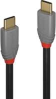 Lindy 1.5m USB 3.2