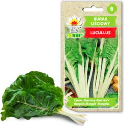 Lucullus Leaf Beet Toraf Vegetable Seeds