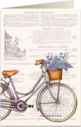 Tassotti B6 pass + envelope 5973