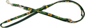 Adjustable dog leash  green  ethnic pattern