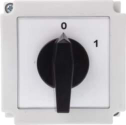 Apator Cam coupling switch 0-1 2P