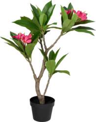 Artificial tree in a Frangipani pot