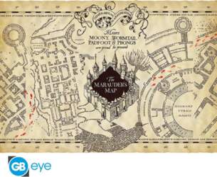 HARRY POTTER - Parchment poster -