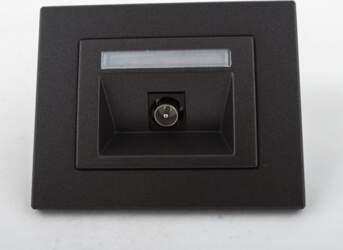 Harry Potter TV SOCKET FLUSH ANT