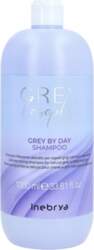 Inebrya Grey By Day Hair Shampoo