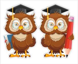LearnHow Window decorations school - Owls
