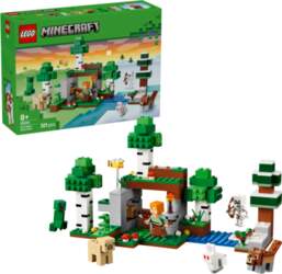 LEGO - Minecraft - First Night